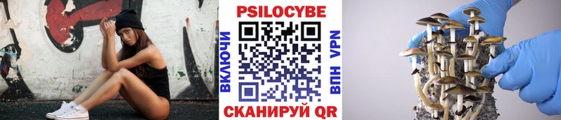 Псилоцибиновые грибы Magic Shrooms  наркошоп  Шарья 